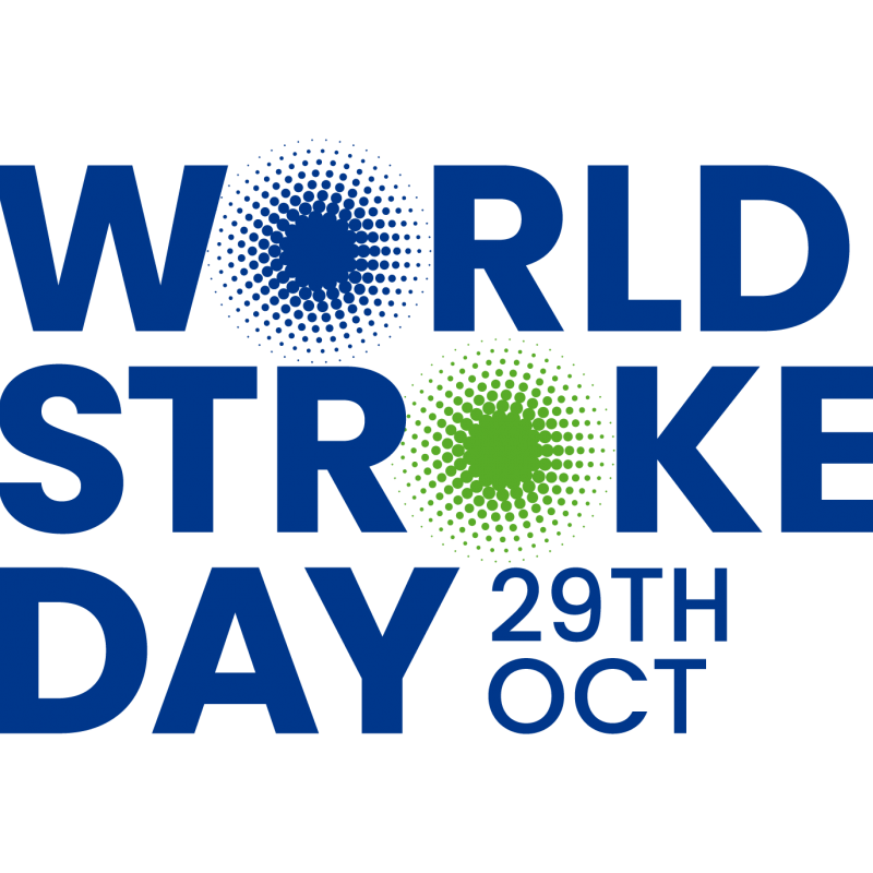 World Stroke Day 2025 logo with blue and green circular design
