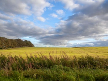 First Aid Training Sedgefield